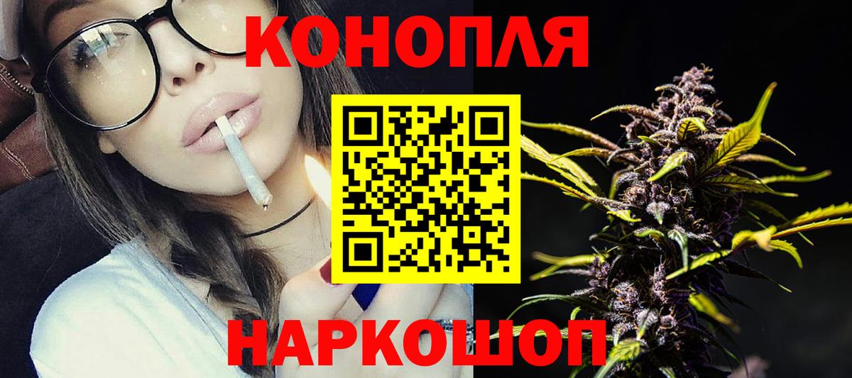 Каннабис планчик Ессентуки